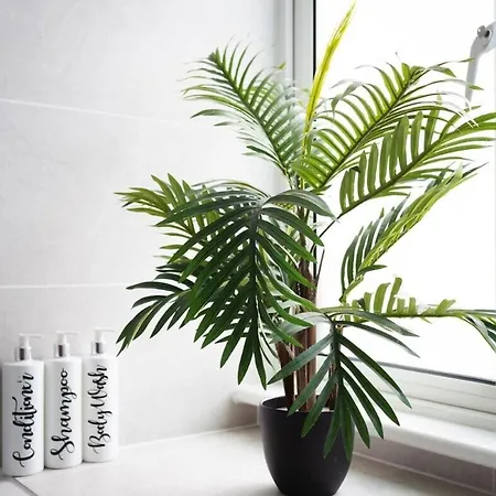 Eden House - & Appartement Saint Helier Jersey